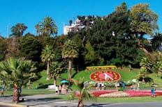 ¿Cuánto cuesta ir a Viña del Mar el 14 de febrero? Precio de los pasajes, hospedaje y panoramas para realizar en San Valentín