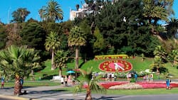 ¿Cuánto cuesta ir a Viña del Mar el 14 de febrero? Precio de los pasajes, hospedaje y panoramas para realizar en San Valentín