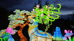 Tianfu Festival en Puente Alto: Ubicación y precio de las entradas para el show de luces chinas más grande de América Latina