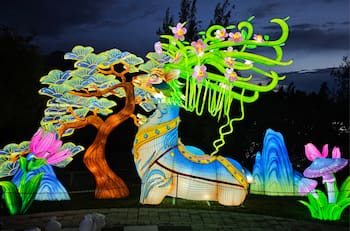 Tianfu Festival en Puente Alto: Ubicación y precio de las entradas para el show de luces chinas más grande de América Latina