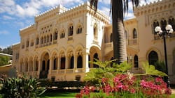 Parque Quinta Vergara, el imperdible pulmón verde de Viña del Mar: tiene un museo, anfiteatro y 35 hectáreas de naturaleza