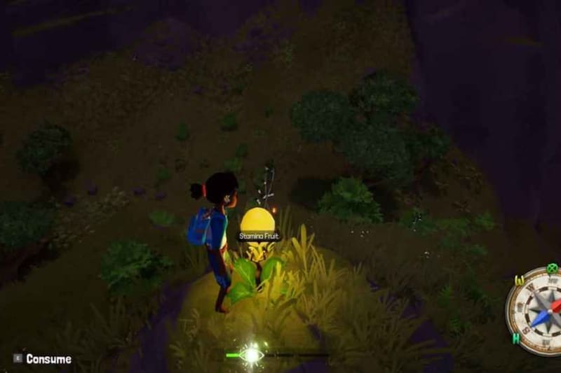 Podrás aumentar tu resistencia con Stamina Fruit. Créditos: Tchia