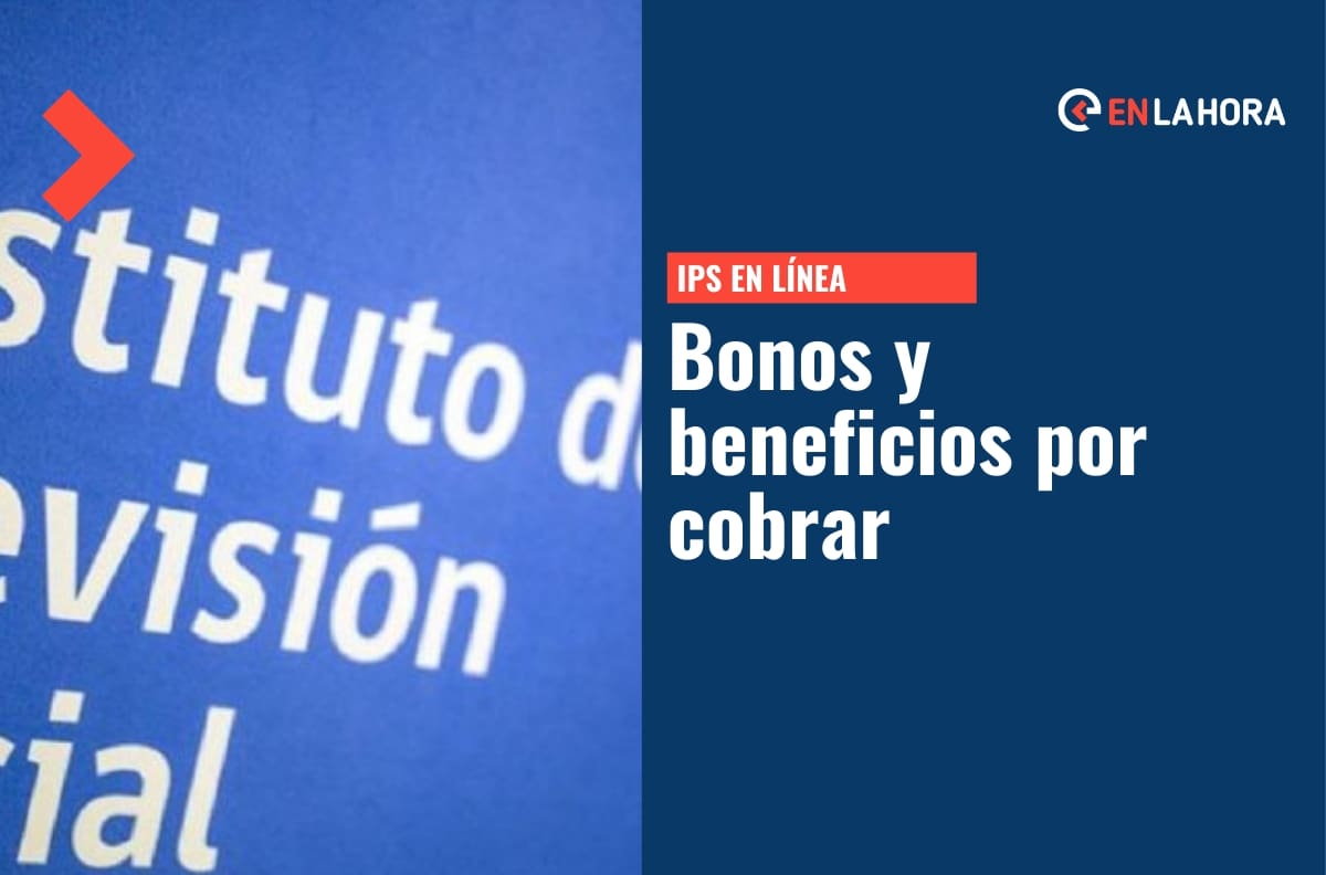 IPS en línea: Revisa aquí con tu RUT si tienes bonos y beneficios pendientes para cobrar