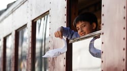 Tren del Recuerdo extiende el verano hasta las dos primeras semanas de marzo: Fechas y precios rebajados para viajar a Temuco