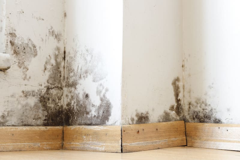 Revisa las soluciones a estos típicos problemas de la temporada invernal.