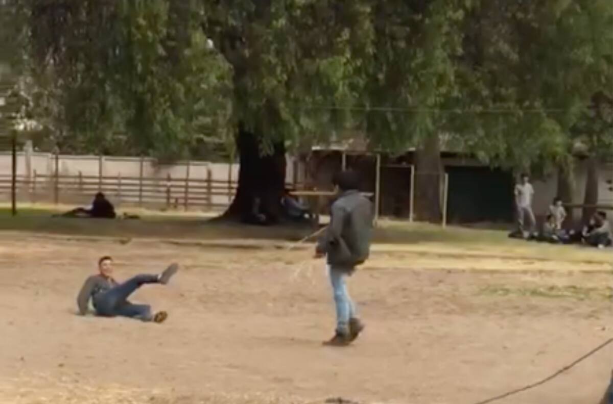 VIDEO | Jóvenes se hacen virales por curioso "juego" que realizan durante el recreo en su liceo agrícola