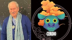 Horóscopo Chino de Pedro Engel: Conoce las predicciones para el Chancho en 2024