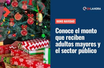 Bono Navidad: ¿Cuál es el monto que recibirán los trabajadores del sector público y los adultos mayores?