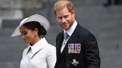 ¿Dónde queda el príncipe Harry?: Estos son los miembros más populares de la familia real según las encuestas