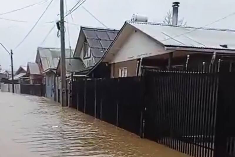 Producto del temporal, más de 40 casas están inundadas en el sector de Curanilahue.