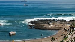 Este oasis en medio del desierto de Arica es el mejor panorama para capear las olas de calor