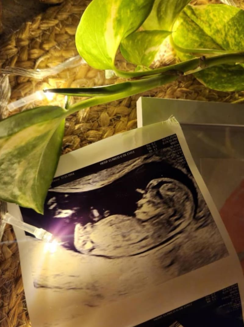 Esta es la foto publicada por Gabriel Boric. Créditos: @gabrielboric.