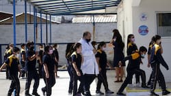 Clases Presenciales 2021: con memes y críticas reaccionaron en redes sociales al regreso escolar