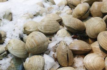 Niño de 3 años murió tras comer mariscos con marea roja en la Región de Los Lagos