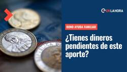 Bono Ayuda Familiar: Revisa aquí con tu RUT si no has cobrado el aporte de $50 mil