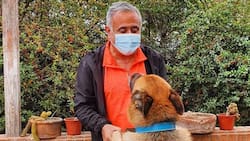 El emotivo mensaje del Doctor Ugarte por el fallecimiento de su perro