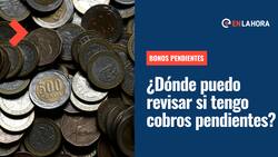 Bonos Pendientes: Conoce en qué plataformas puedes revisar con tu RUT si tienes dinero sin cobrar