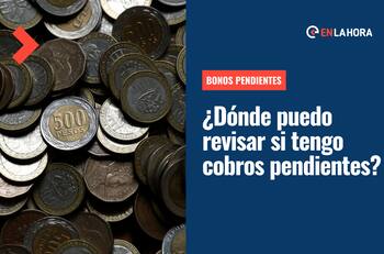Bonos Pendientes: Conoce en qué plataformas puedes revisar con tu RUT si tienes dinero sin cobrar