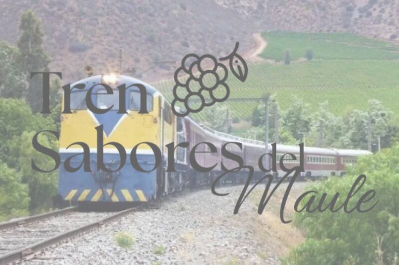 Disfruta del recorrido hacia la Viña TerraNoble.