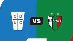 EN VIVO | U. Católica vs. Palestino por Primera División 2026: minuto a minuto del partido