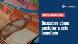 Ingreso Mínimo Garantizado: ¿Cómo postular a este beneficio que entrega hasta $66 mil mensuales?