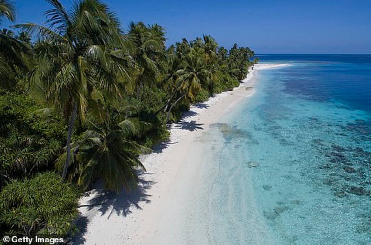 Todo lo que sabemos de la isla que prepara el UFC para sus próximos eventos