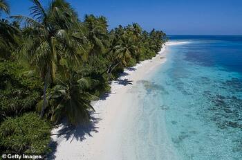 Todo lo que sabemos de la isla que prepara el UFC para sus próximos eventos