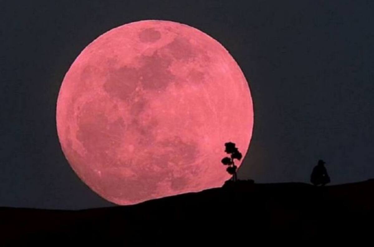 ¿A qué hora se podrá ver la Súper Luna rosa en Chile?
