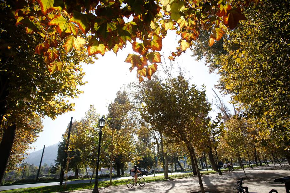 ¿Cómo estará el tiempo este domingo en Santiago? Créditos: ATON