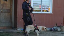 Hallazgo Tomás Bravo: trasladaron a tío abuelo tras incidentes en cuartel PDI de Lebu