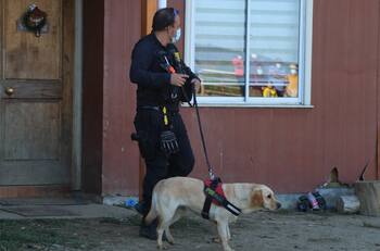 Hallazgo Tomás Bravo: trasladaron a tío abuelo tras incidentes en cuartel PDI de Lebu