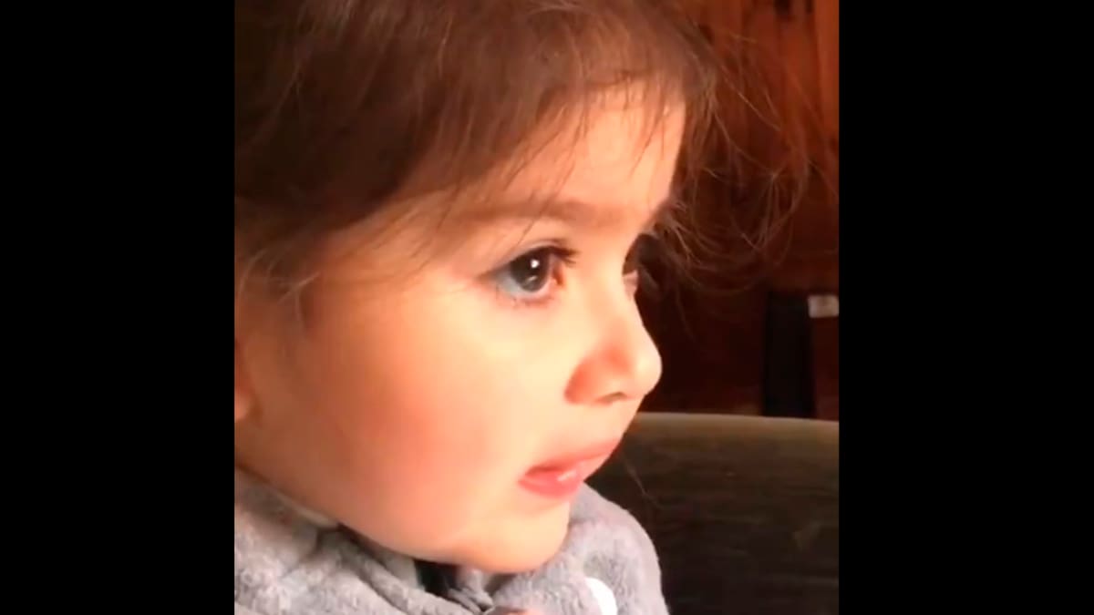 El mejor TikTok: Niña pide salvar a su perrito con una tensa calma