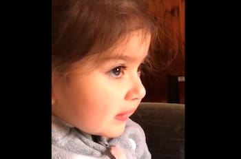 El mejor TikTok: Niña pide salvar a su perrito con una tensa calma