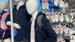 Hay más de 500.000 productos: Así se puede ocupar el comparador de precios de artículos escolares del Sernac