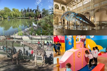 Parques, zoológico y eventos: estos son los 10 panoramas gratuitos que puedes realizar en Santiago este verano