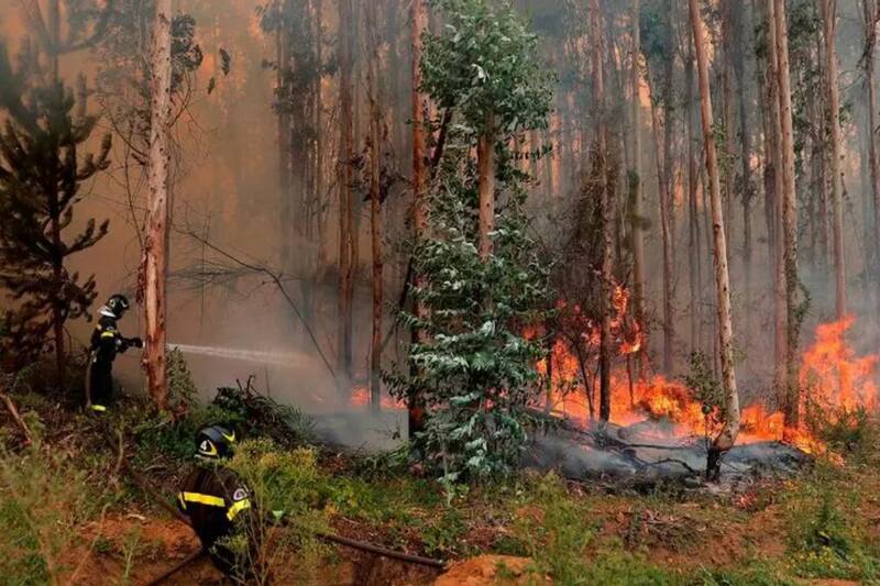 Decretan medidas preventivas en comunas con riesgo forestal hasta este viernes.