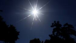 Organización Meteorológica Mundial pone a Chile como ejemplo del “calor extremo e inusual” en el planeta