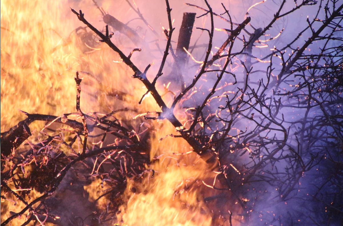VIDEO | Incendios forestales Quillón: Sectores de Santa Ana y San Ramón son evacuados en Ñuble