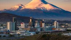 Elecciones Municipales 2024: ¿Quiénes son los candidatos a alcalde en la comuna de Temuco?