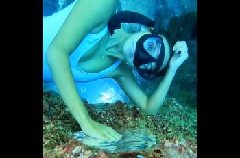 VIDEO | ¿Agua bajo el agua?: Mujer desafía a la física con espectacular registro bajo el mar