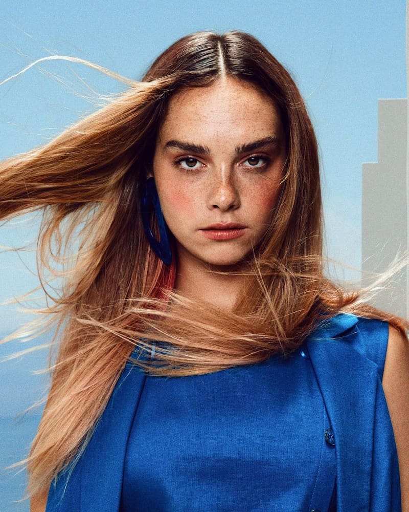 Francisca Armstrong es cantante y actriz chilena.