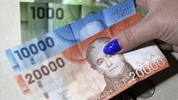 Conoce todos los beneficios del Estado que puedes recibir solo respondiendo estas preguntas