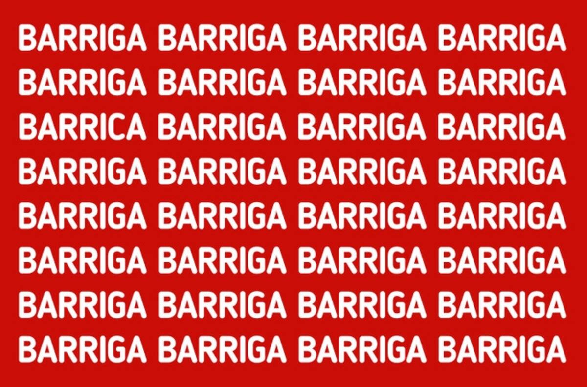 Test Visual: ¿Podrás encontrar la palabra "BARRICA" oculta en la imagen en tan solo 10 segundos?