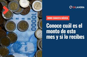 Bono Canasta Básica: Revisa con tu RUT si eres beneficiario y conoce cuál es el nuevo monto para septiembre