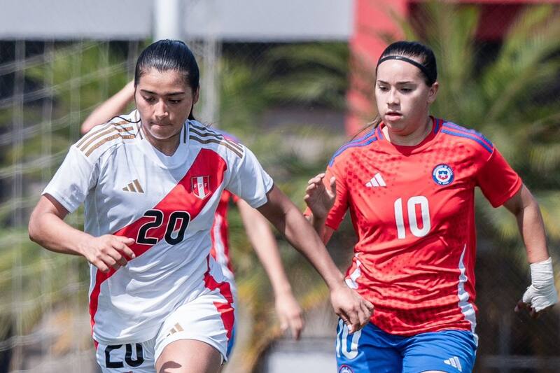 Foto: Comunicaciones/FFCh.