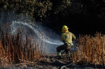 VIDEO | Incendio forestal en Linares: Onemi declaró Alerta Roja por siniestro que amenaza viviendas