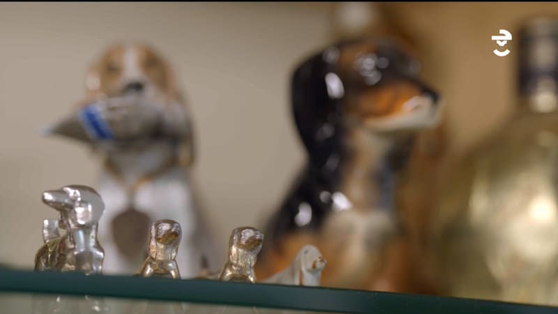 regresó a la televisión.