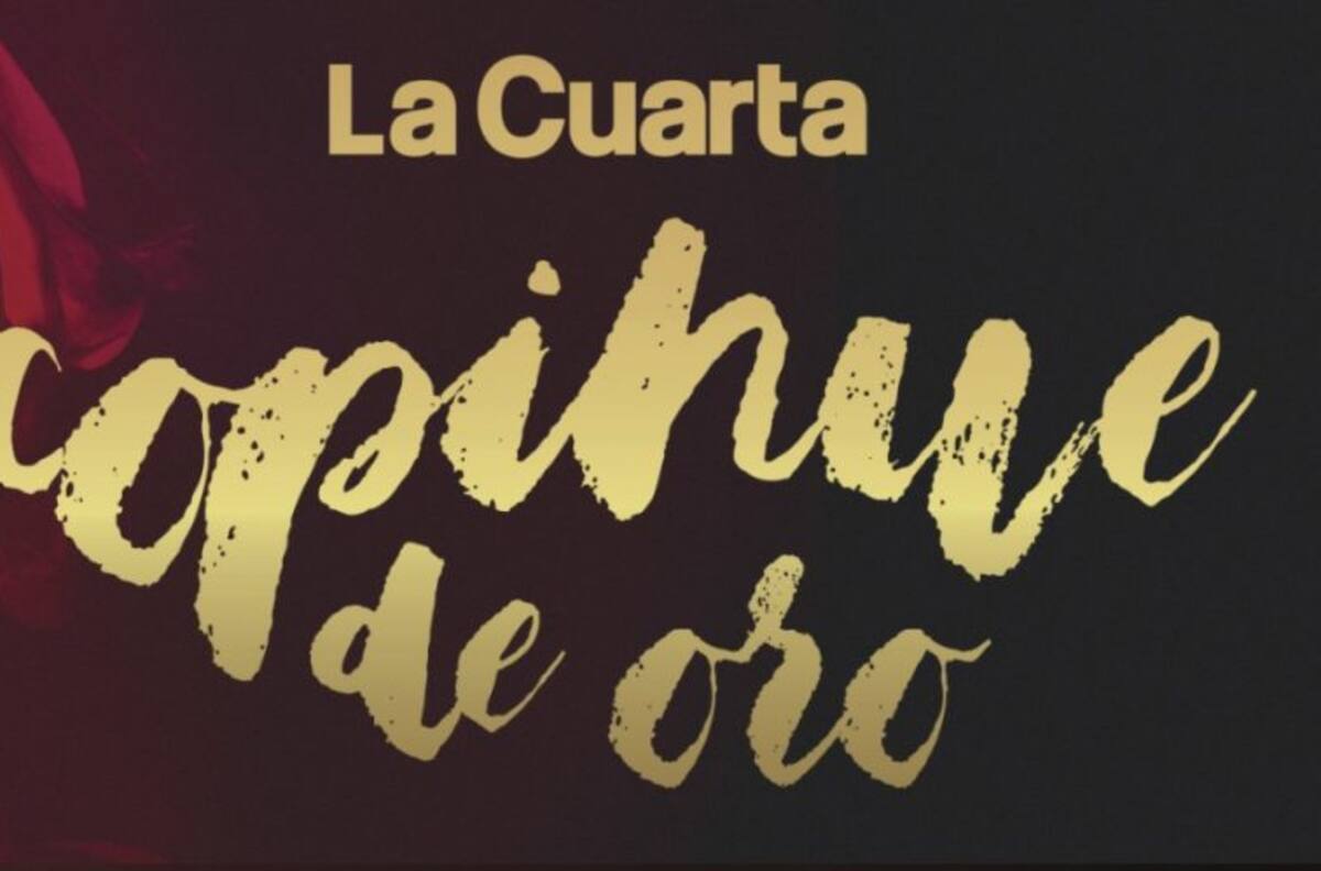 Copihue de Oro: Panelistas de 'Me Late' estarán a cargo de los detalles