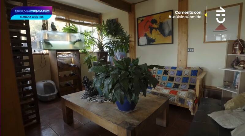 Remigio Remedy mostró su casa, la cual tiene una estética rústica.