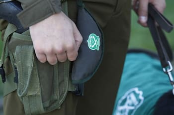 Operativo por robo de madera: Comunero Mapuche fue atropellado por tanqueta de Carabineros